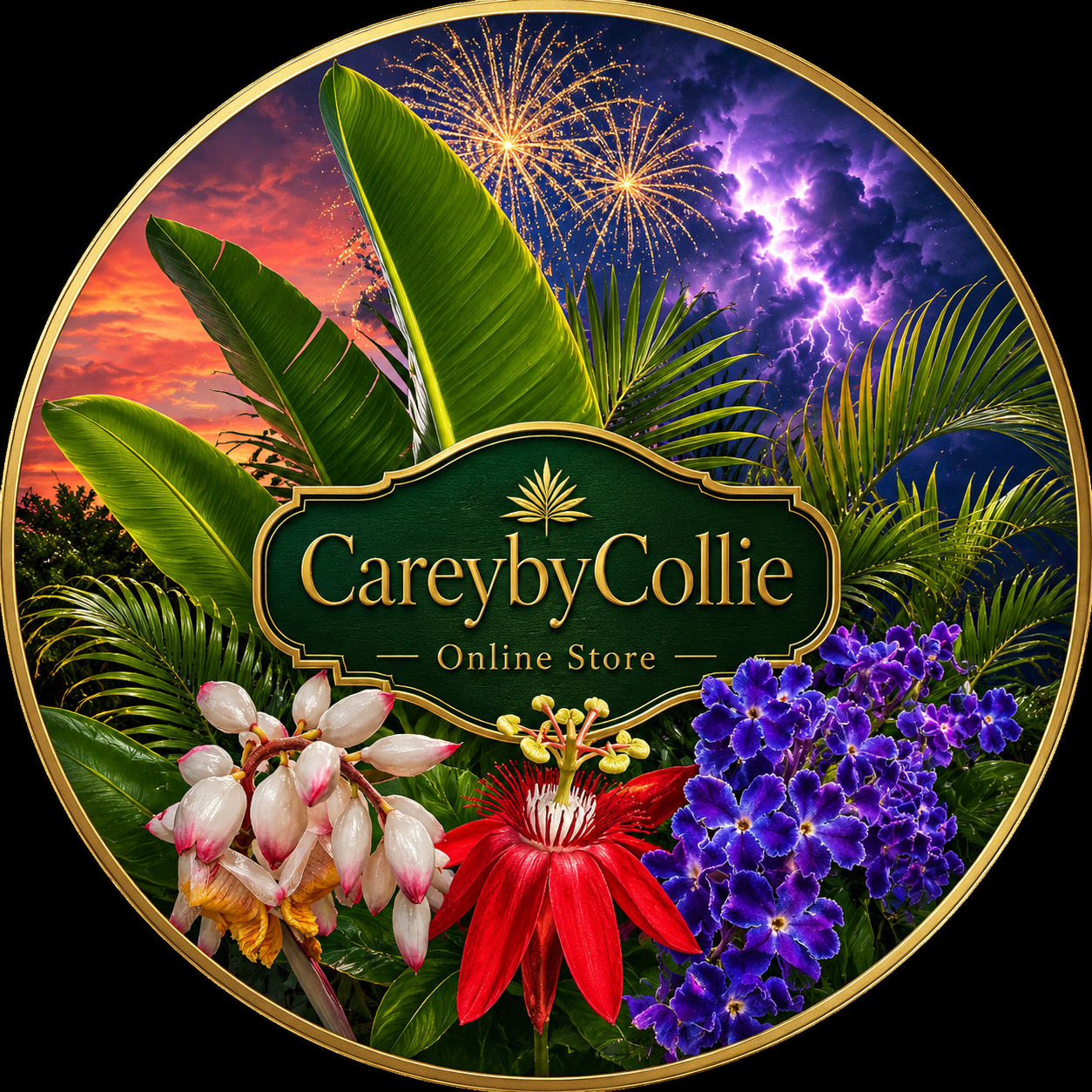 CareybyCollie / Storyhaven logo